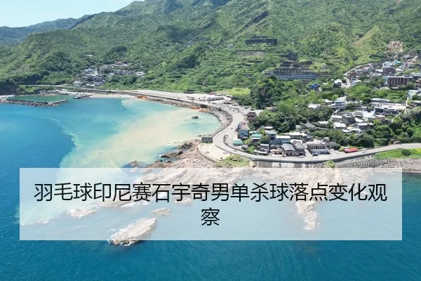 yu-mao-qiu-yin-ni-sai-shi-yu-qi-nan-dan-sha-qiu-luo-dian-bian-hua-guan-cha-2-318.jpg