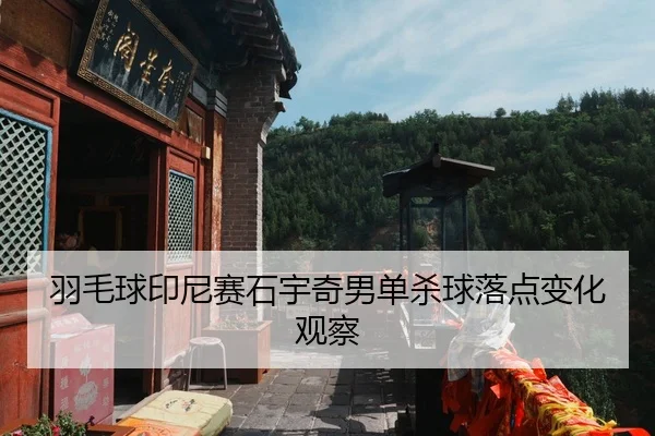 羽毛球印尼赛石宇奇男单杀球落点变化观察